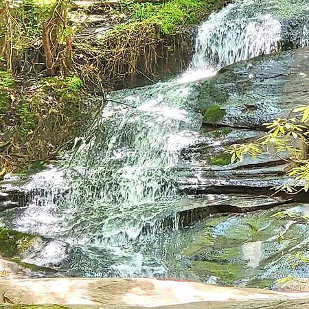 Luxury Cabin With Waterview And Privacy, Hiking Blue Ridge Exteriör bild