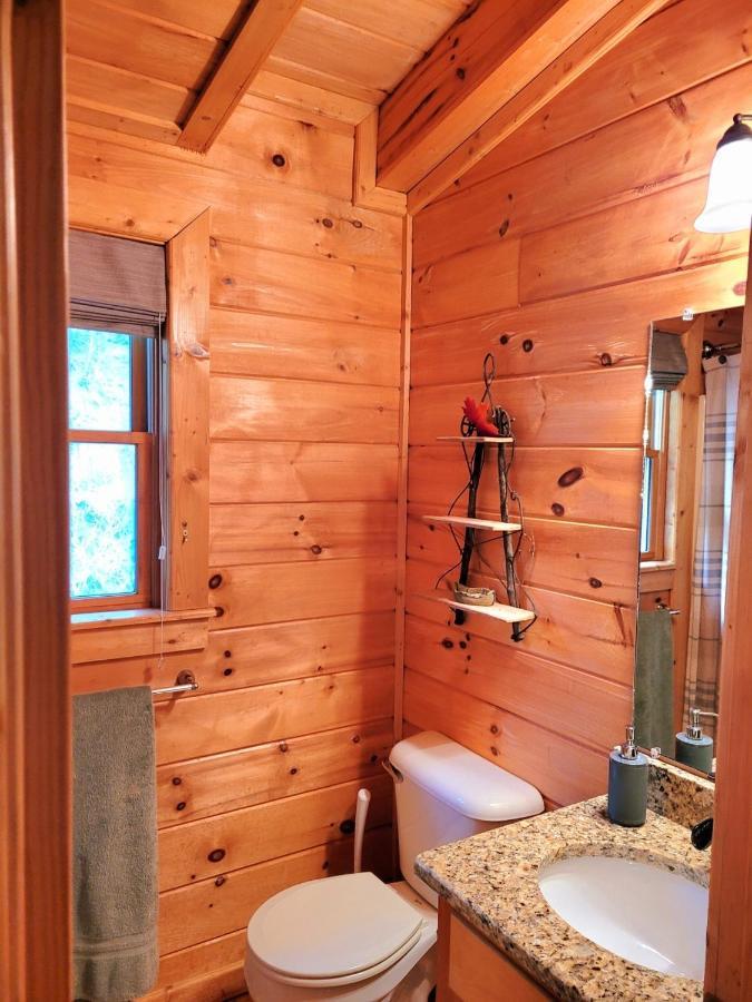 Luxury Cabin With Waterview And Privacy, Hiking Blue Ridge Exteriör bild