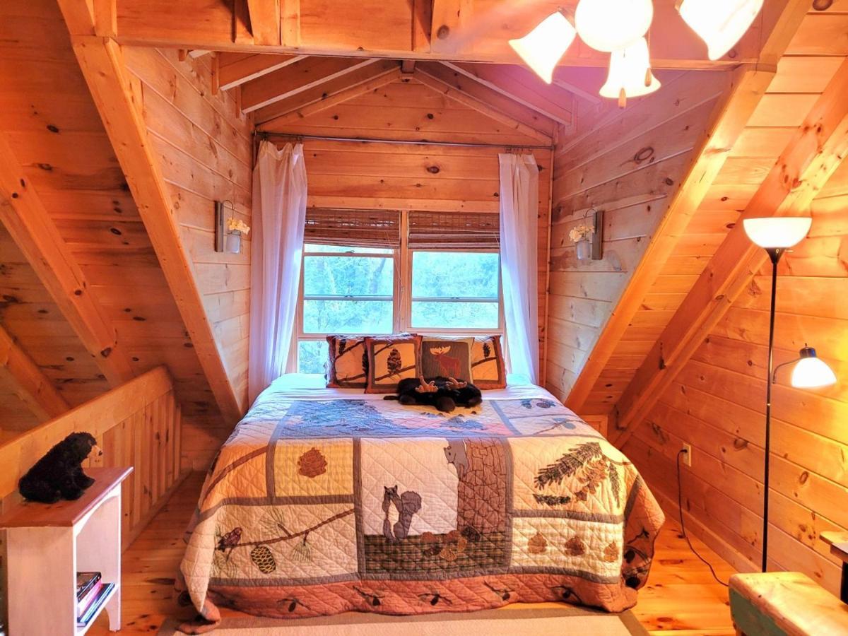 Luxury Cabin With Waterview And Privacy, Hiking Blue Ridge Exteriör bild