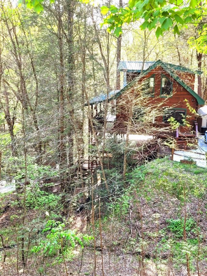 Luxury Cabin With Waterview And Privacy, Hiking Blue Ridge Exteriör bild